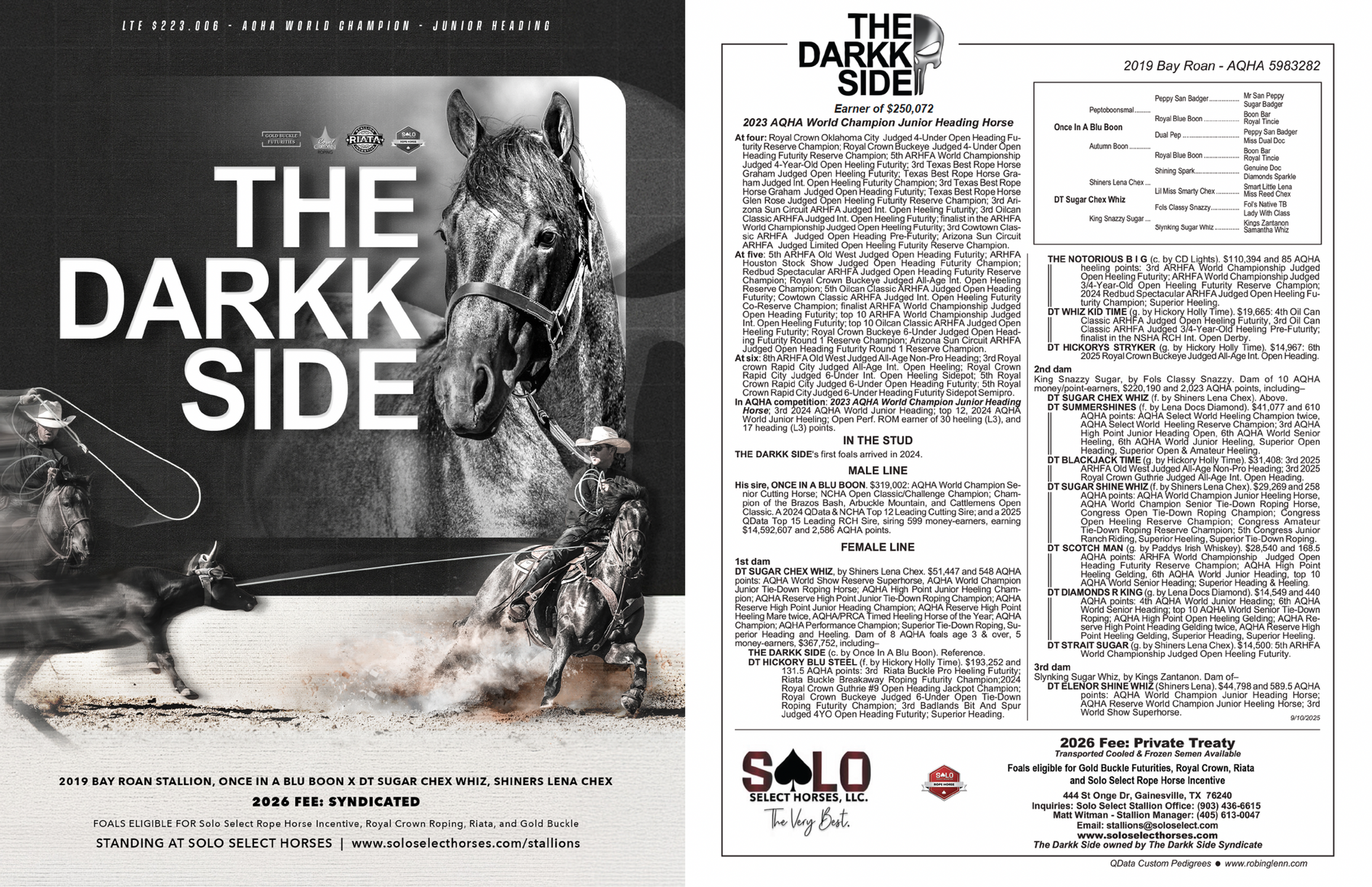 The Darkk Side | Solo Select Horses